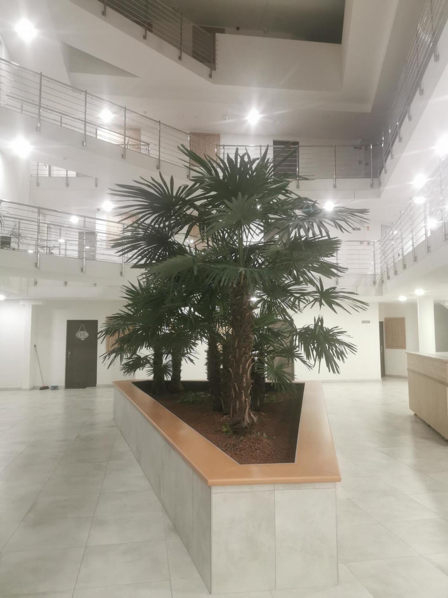 Beli Apartman Melygarazzsal Hévíz Exterior foto